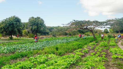 weerbaar tegen klimaatverandering in mozambique