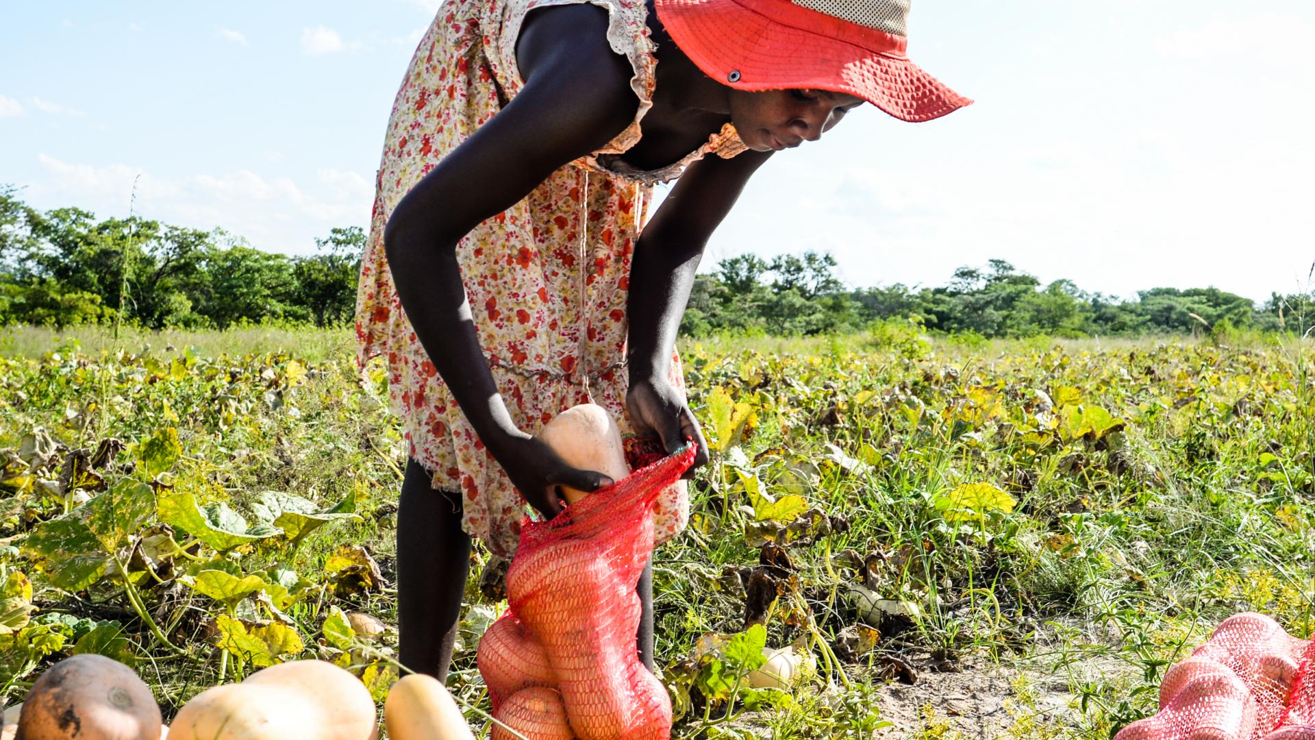 Vrouwelijke ondernemer op Ebenezer Farm in Zimbabwe