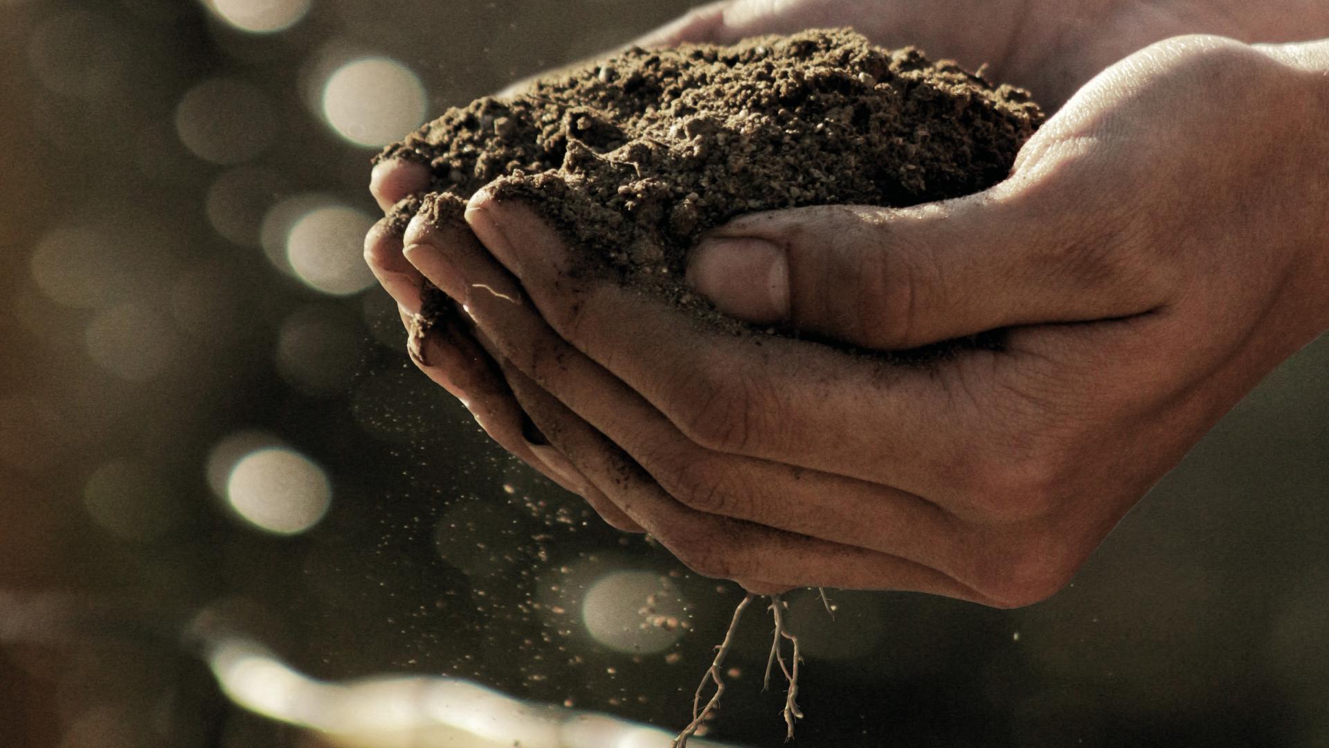 GroenGelovig 2021 campagnebeeld