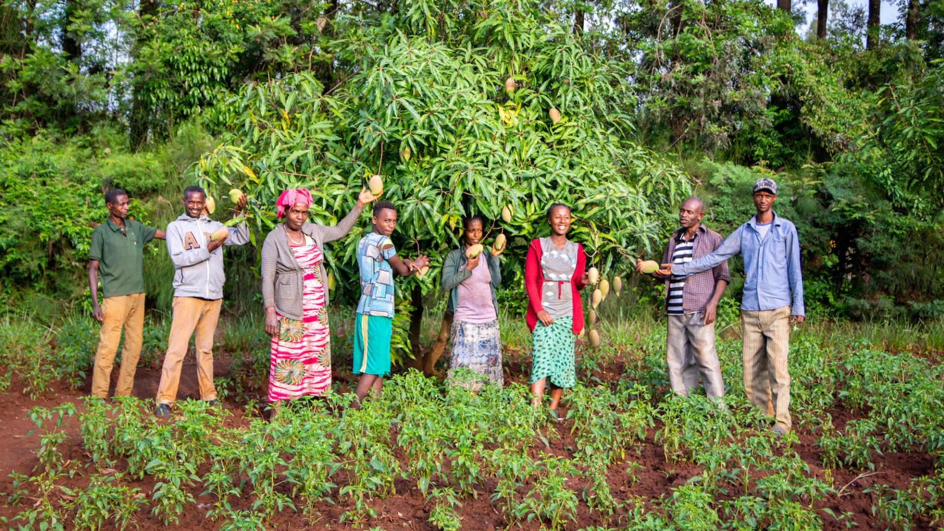 EES project jeugdwerkloosheid Ethiopië