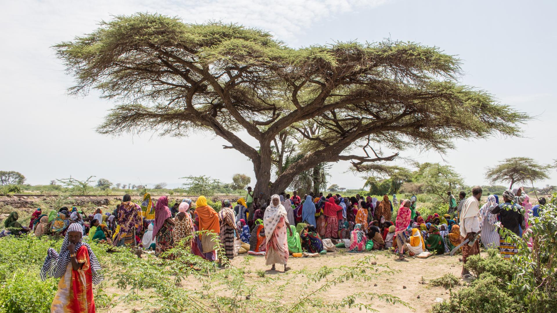 Beeld Ethiopië Tearfund UK