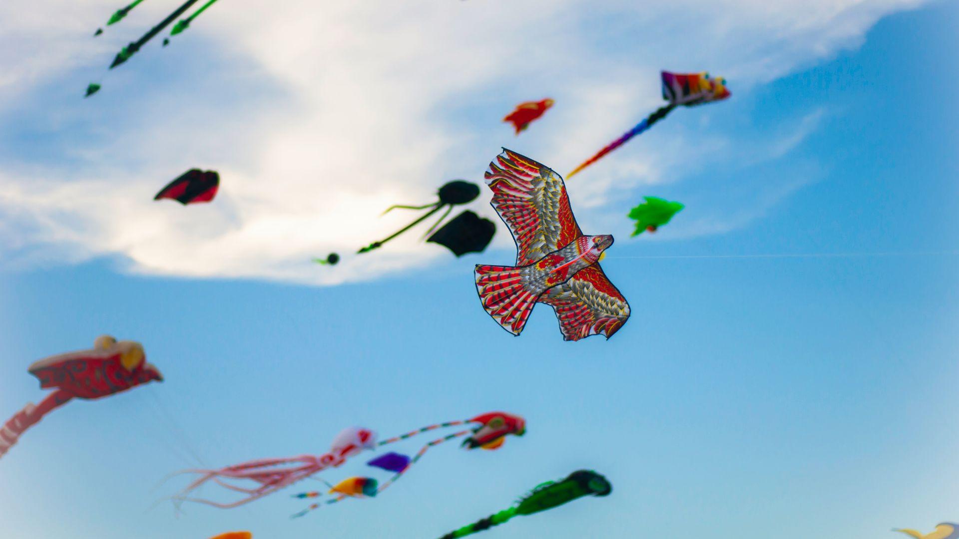 kites