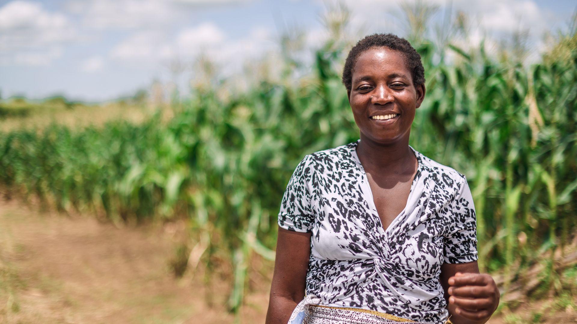 weerbaar tegen toekomstige rampen
