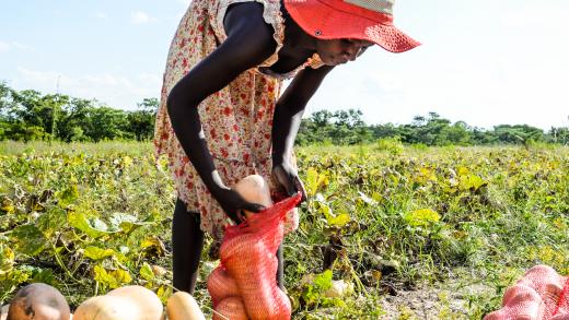 Vrouwelijke ondernemer op Ebenezer Farm in Zimbabwe