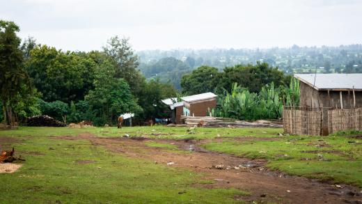 Ethiopië dorp