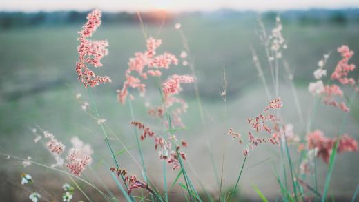 Banner_krachtvanrust