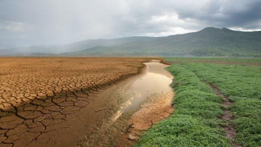 Weerbaar tegen klimaatverandering