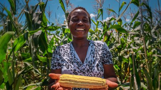 Een hemelse gift voor mensen in nood