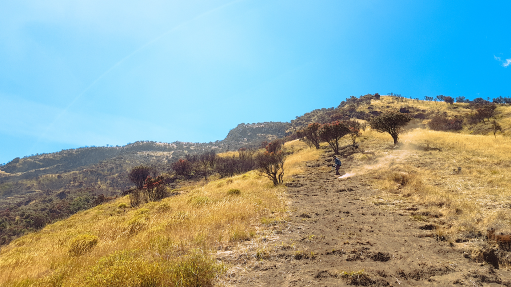 Centraal Afrikaanse Republiek