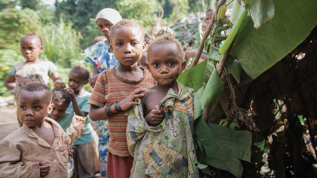 Noodhulp in Noord-Kivu