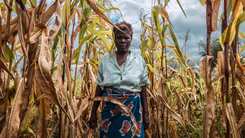 Jessy (60), wearing a shiny aqua top, stands in a maize field. Her village has been badly affected by hunger, flooding, poor crops, deforestation, and poor 