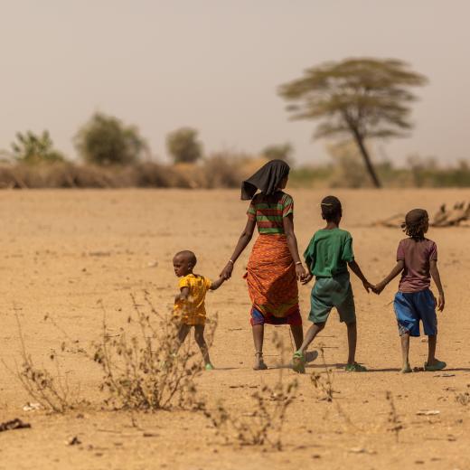 Afar nomaden