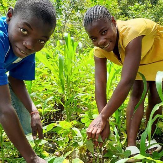 Haïti - werkgelegenheid voor jongeren (2) Grand Grosier