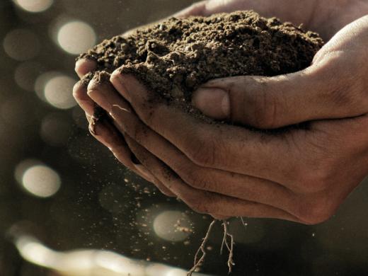 GroenGelovig 2021 campagnebeeld