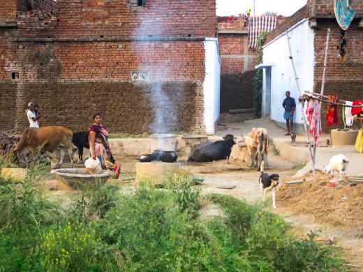 Beeld buiten India