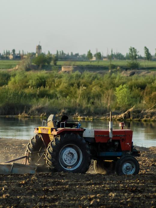 Syrië landbouw