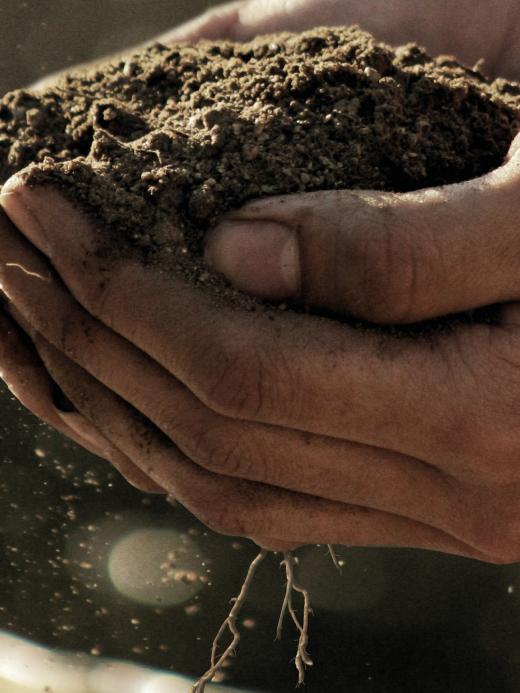 GroenGelovig 2021 campagnebeeld