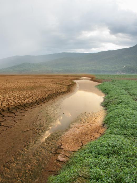 Droogte in beeld