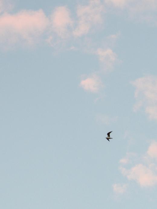 luchtfoto uit de veertig dagen kalender
